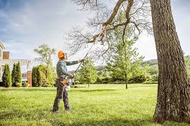 Best Tree Health Inspection  in Connell, WA